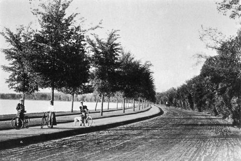 This is one of my favorite park photos. It shows bicycle paths around Lake Harriet in 1896. Notice that the layout of walking path, bicycle path and carriage way, there were no cars yet, is almost identical to today. (Minneapolis Park and Recreation Board)