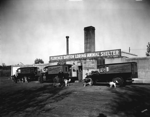Florence Barton Loring Animal Shelter 1929 NP78052