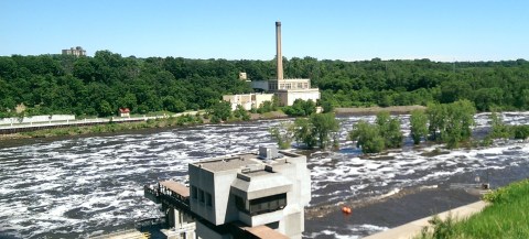 Last summer you could walk from the locks to the island where the usbmerged trees are now. (David C. Smith, June 21, 2014)