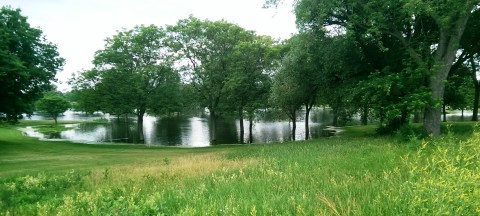 Meadowbrook Lake. Meadowbrook Golf Course doesn't usually have a lake in the middle. The pond on Minnehaha Creek on teh east side of the course was created in the late 1920s shortly after the course opened, because high water in the creek flooded part of the course. The pond was dredged to deepen it and use the earth dredged to raise the level of the course around it. That has worked pretty well through the history of the course -- but not when Minnehaha Creek rises this much. This was more than a week after the heavy rains of June 19. (David C. Smith)