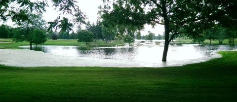 A different lake view, this looking east from Meadowbrook Road through the heart of the golf course. Great new wildlife habitat. (David C. Smith)